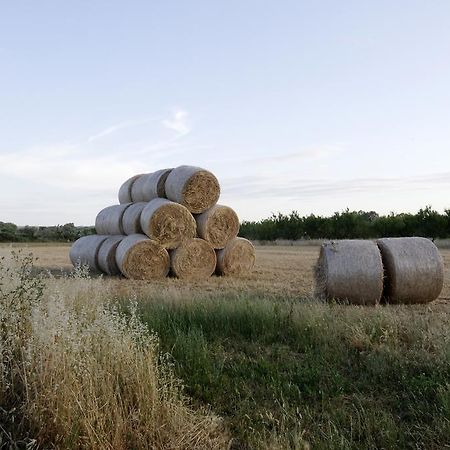 Agrimat Salento Sas Villa Alezio Esterno foto