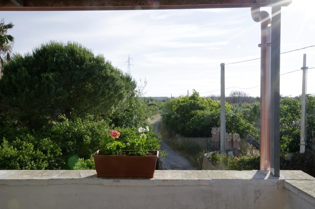 Agrimat Salento Sas Villa Alezio Esterno foto